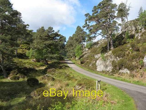 Photo 6x4 glen strathfarrar - glen,