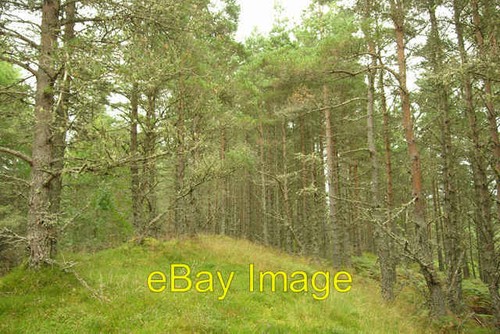 Photo 6x4 rocky knoll boblainy - photo,