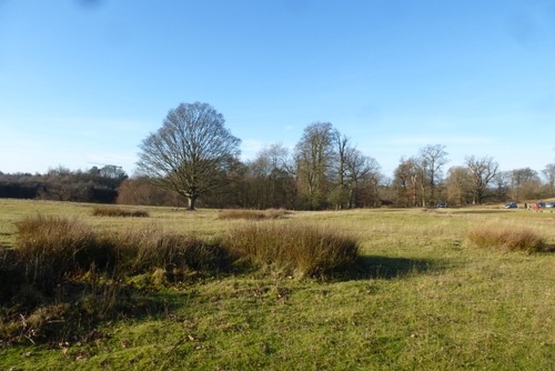 Photo 6x4 knole park near - 6x4,