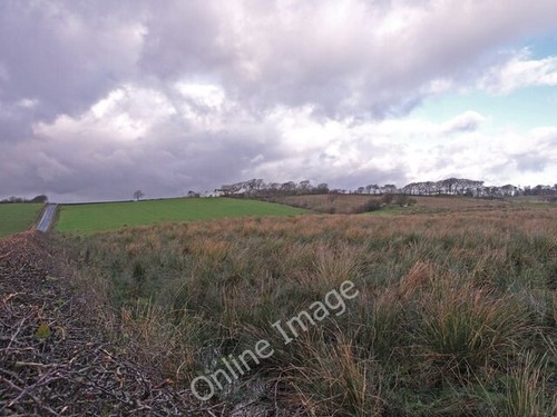 Photo 6x4 rough ground law - photo,