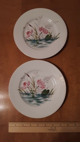 Piatto ninfea rosa vintage - piatto,