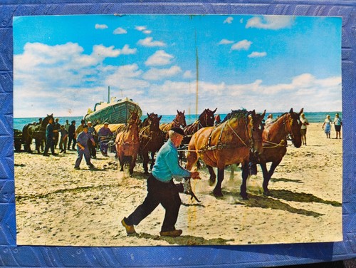 1978 ameland hollum - ameland,